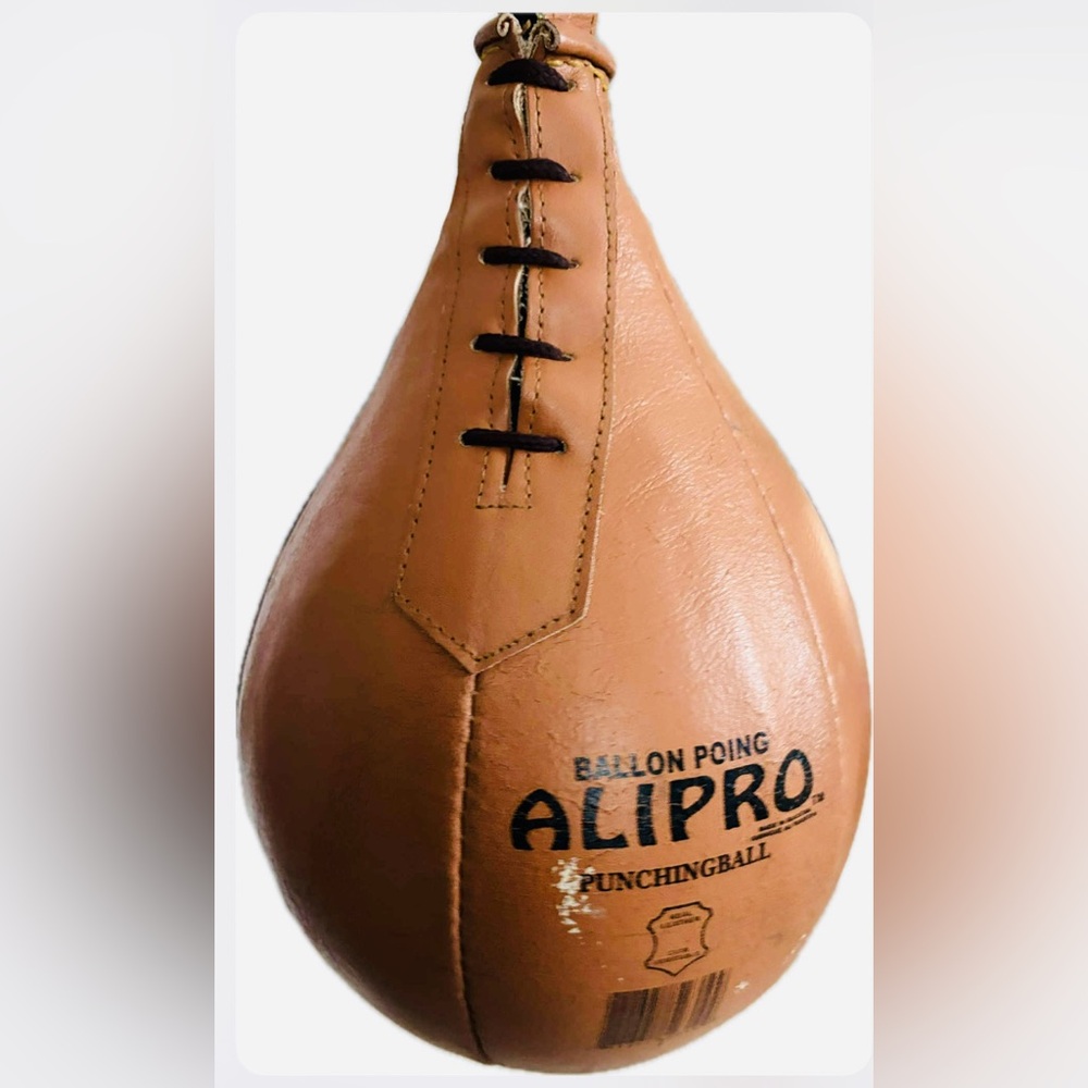 Alipro Brown Leather Punching Ball
